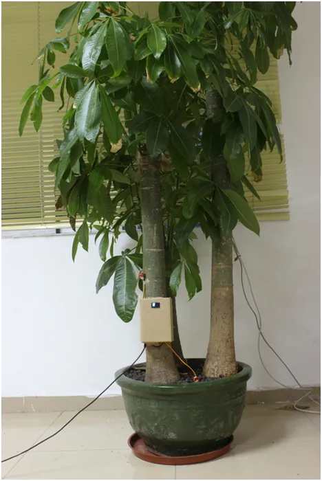 Arduino Smart Home for Environment Tree