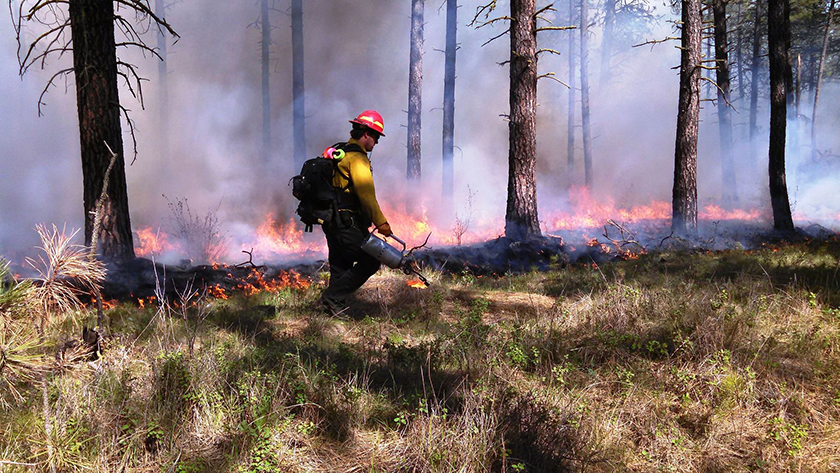 Controlled Burn Situation