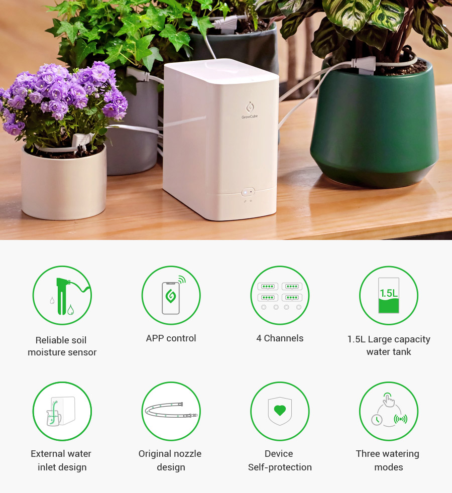 Feature of self watering system for indoor plants